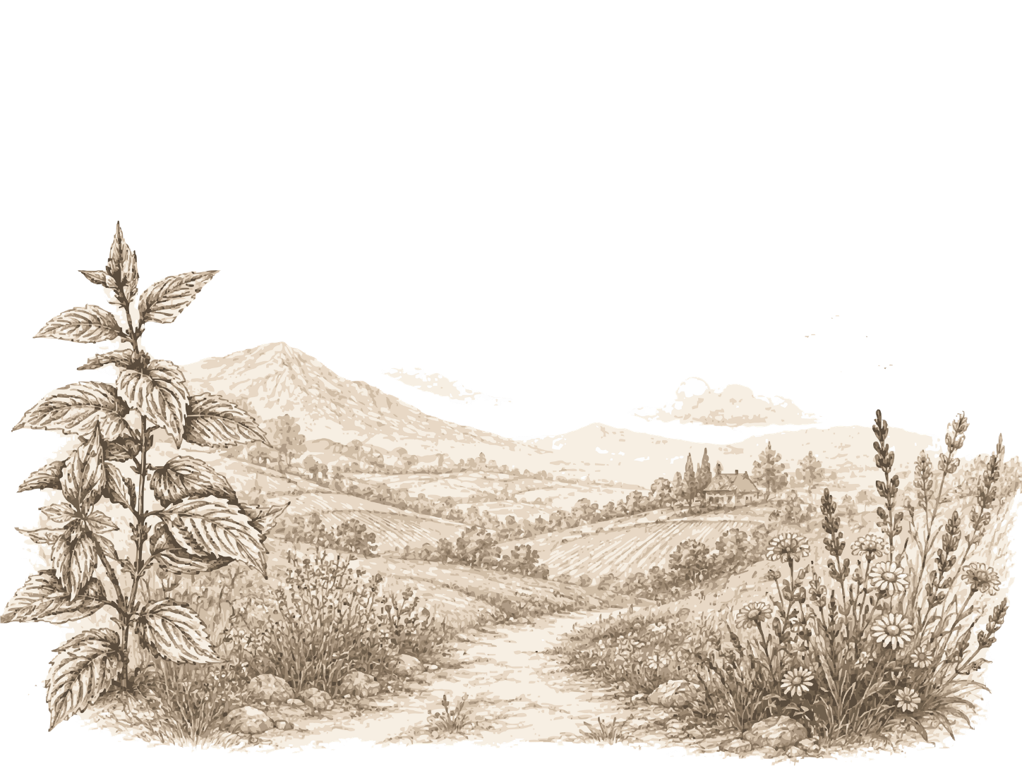 Ländliche Landschaft mit Wildkräutern, Feldern und Hügeln